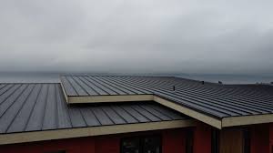 Best Commercial Roofing Services  in South Gate Ridge, FL